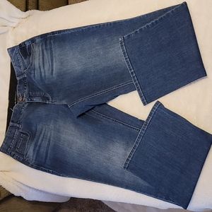 Lane Bryant T3 Bootcut